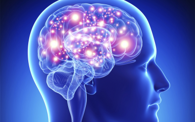 Chiropractic Care and Brain Function